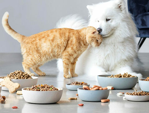 Pets